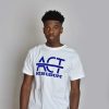 ACT Kingdom Model T